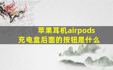 苹果耳机airpods充电盒后面的按钮是什么