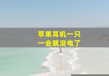 苹果耳机一只一会就没电了