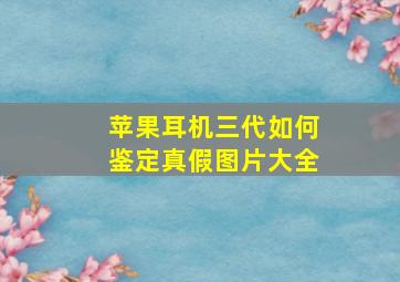 苹果耳机三代如何鉴定真假图片大全