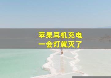 苹果耳机充电一会灯就灭了