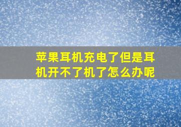 苹果耳机充电了但是耳机开不了机了怎么办呢