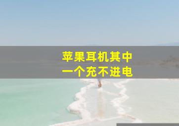 苹果耳机其中一个充不进电