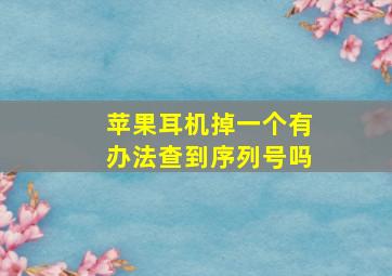 苹果耳机掉一个有办法查到序列号吗