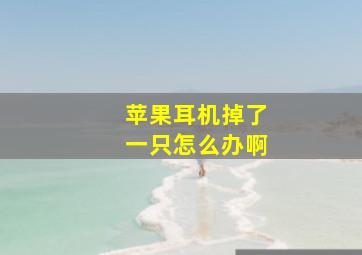 苹果耳机掉了一只怎么办啊