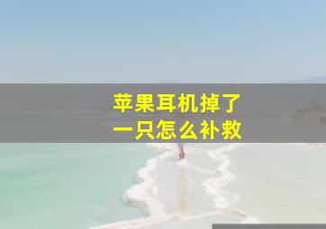 苹果耳机掉了一只怎么补救