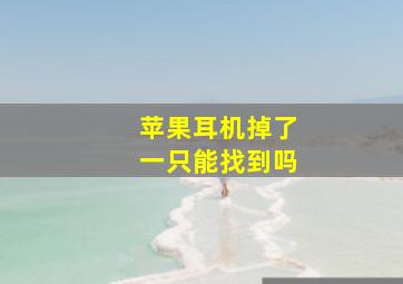 苹果耳机掉了一只能找到吗