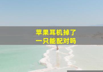 苹果耳机掉了一只能配对吗