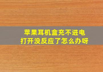 苹果耳机盒充不进电打开没反应了怎么办呀