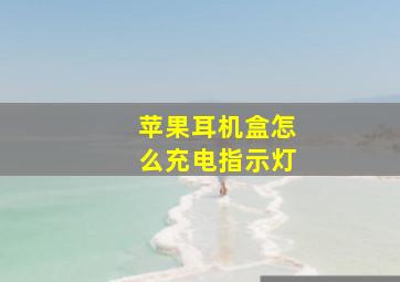 苹果耳机盒怎么充电指示灯