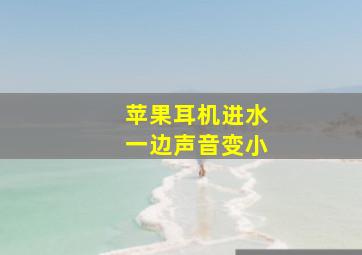 苹果耳机进水一边声音变小