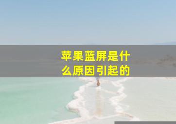 苹果蓝屏是什么原因引起的