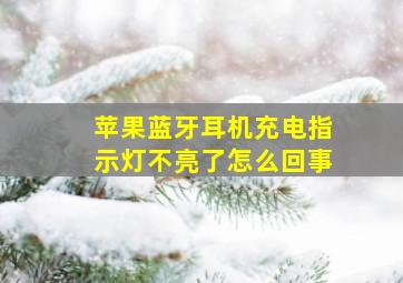 苹果蓝牙耳机充电指示灯不亮了怎么回事