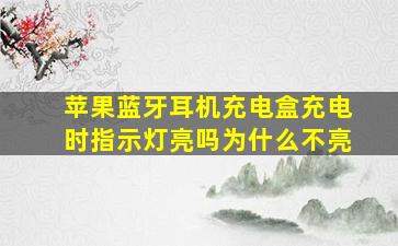 苹果蓝牙耳机充电盒充电时指示灯亮吗为什么不亮