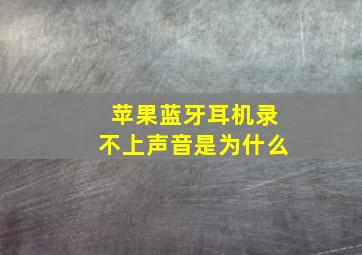 苹果蓝牙耳机录不上声音是为什么