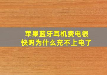 苹果蓝牙耳机费电很快吗为什么充不上电了