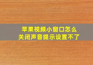 苹果视频小窗口怎么关闭声音提示设置不了