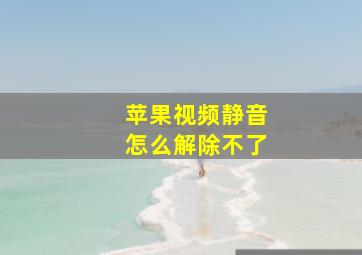 苹果视频静音怎么解除不了