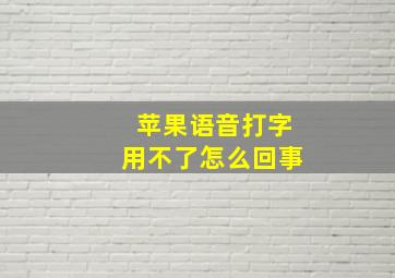 苹果语音打字用不了怎么回事