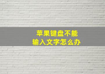 苹果键盘不能输入文字怎么办