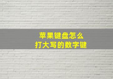 苹果键盘怎么打大写的数字键