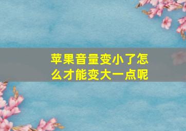 苹果音量变小了怎么才能变大一点呢