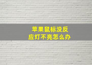 苹果鼠标没反应灯不亮怎么办