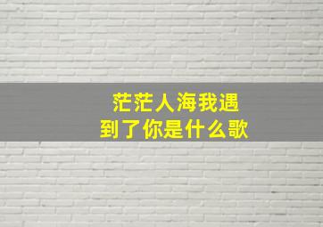 茫茫人海我遇到了你是什么歌