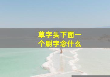 草字头下面一个尉字念什么