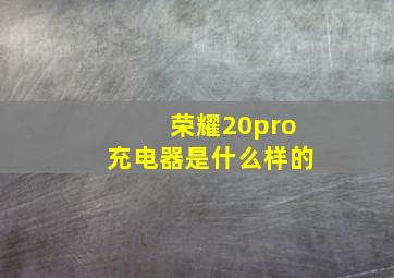 荣耀20pro充电器是什么样的