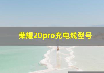 荣耀20pro充电线型号