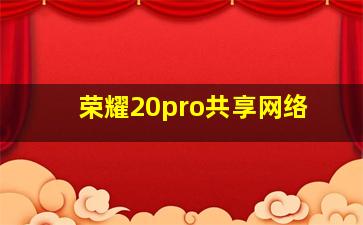 荣耀20pro共享网络