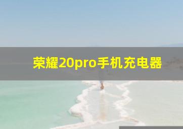 荣耀20pro手机充电器