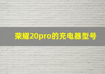 荣耀20pro的充电器型号