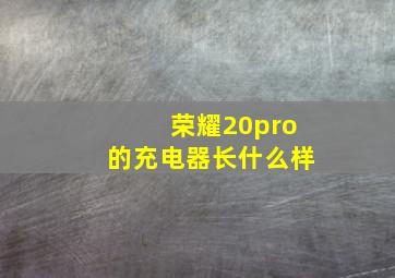 荣耀20pro的充电器长什么样