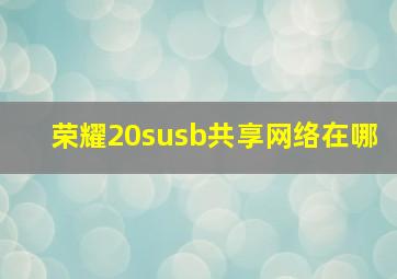 荣耀20susb共享网络在哪