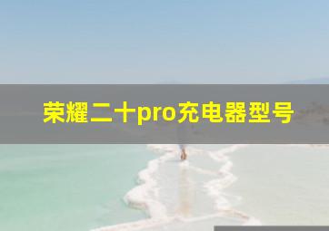 荣耀二十pro充电器型号