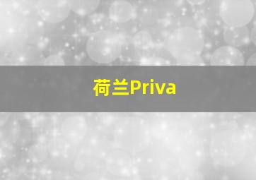 荷兰Priva