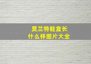 莫兰特鞋盒长什么样图片大全