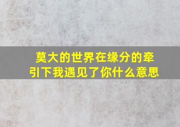 莫大的世界在缘分的牵引下我遇见了你什么意思