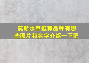 莫斯水草推荐品种有哪些图片和名字介绍一下吧