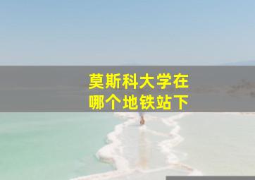 莫斯科大学在哪个地铁站下