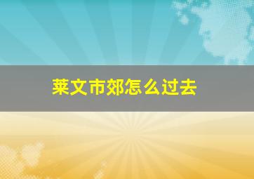 莱文市郊怎么过去