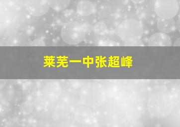 莱芜一中张超峰