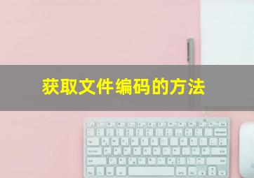 获取文件编码的方法