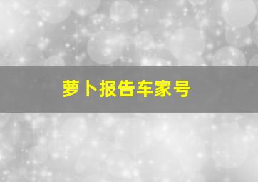 萝卜报告车家号