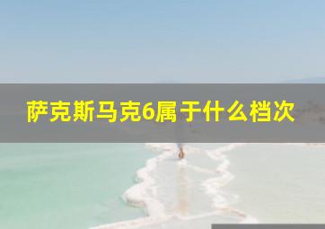 萨克斯马克6属于什么档次