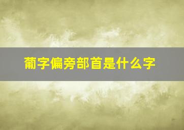 葡字偏旁部首是什么字