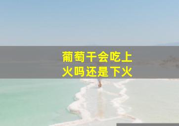 葡萄干会吃上火吗还是下火