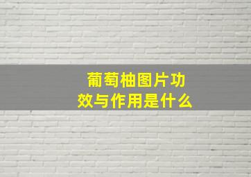 葡萄柚图片功效与作用是什么