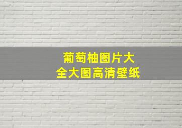 葡萄柚图片大全大图高清壁纸